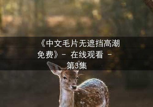 《中文毛片无遮挡高潮免费》- 在线观看 - 第3集