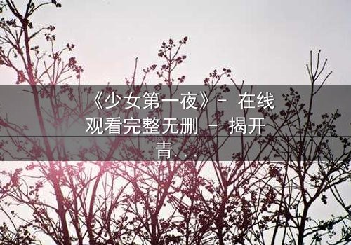 《少女第一夜》- 在线观看完整无删 - 揭开青春禁忌的隐秘真相