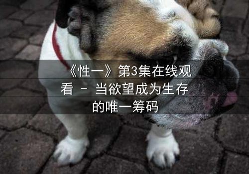 《性一》第3集在线观看 - 当欲望成为生存的唯一筹码