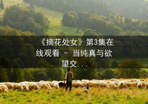 《摘花处女》第3集在线观看 - 当纯真与欲望交织,谁将堕入深渊?