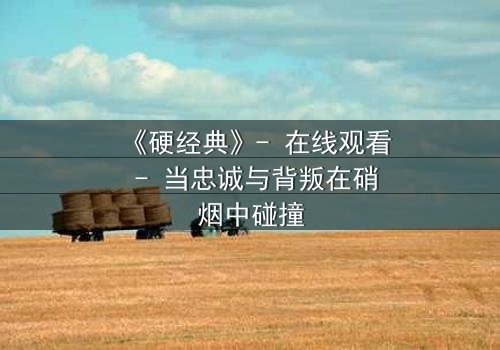 《硬经典》- 在线观看 - 当忠诚与背叛在硝烟中碰撞