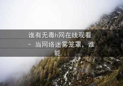 谁有无毒h网在线观看 - 当网络迷雾笼罩,谁能揭开真相的面纱?