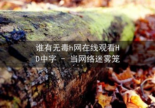 谁有无毒h网在线观看HD中字 - 当网络迷雾笼罩,谁能揭开真相?