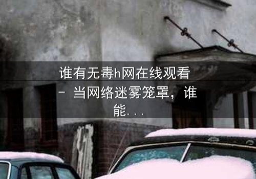 谁有无毒h网在线观看 - 当网络迷雾笼罩,谁能揭开真相的面纱?
