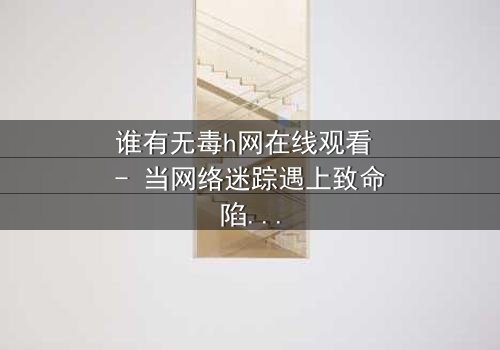 谁有无毒h网在线观看 - 当网络迷踪遇上致命陷阱,你敢点开吗?