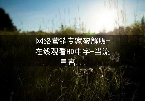 网络营销专家破解版-在线观看HD中字-当流量密码变成致命陷阱