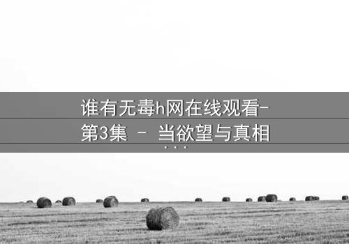 谁有无毒h网在线观看-第3集 - 当欲望与真相交织的致命漩涡