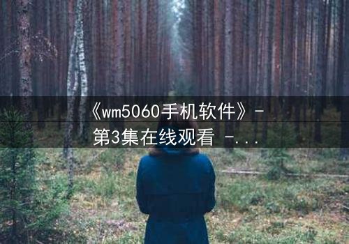 《wm5060手机软件》- 第3集在线观看 - 当代码成为你的唯一救赎