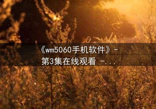 《wm5060手机软件》- 第3集在线观看 - 当代码成为诅咒,谁能逃脱?