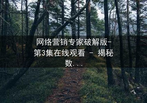网络营销专家破解版-第3集在线观看 - 揭秘数字世界的终极博弈