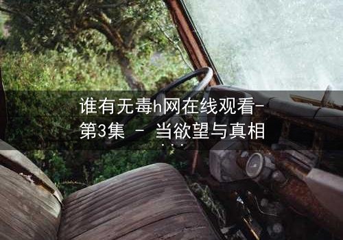 谁有无毒h网在线观看-第3集 - 当欲望与真相交织的致命漩涡