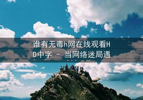 谁有无毒h网在线观看HD中字 - 当网络迷局遇上人性抉择