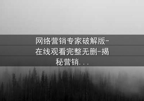 网络营销专家破解版-在线观看完整无删-揭秘营销天才的黑暗交易