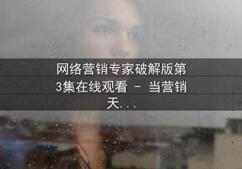 网络营销专家破解版第3集在线观看 - 当营销天才沦为犯罪工具,人性与利益的终极对决!