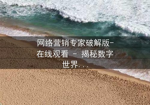 网络营销专家破解版-在线观看 - 揭秘数字世界的终极博弈