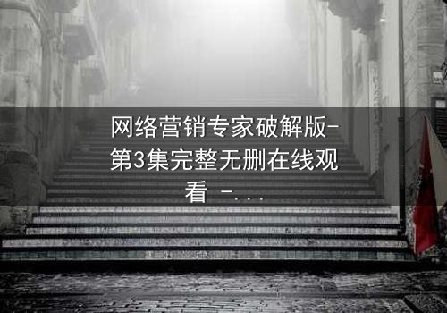 网络营销专家破解版-第3集完整无删在线观看 - 当营销天才沦为黑客的猎物