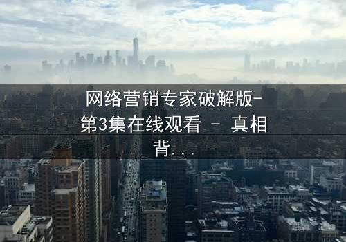 网络营销专家破解版-第3集在线观看 - 真相背后,谁在操控你的钱包?