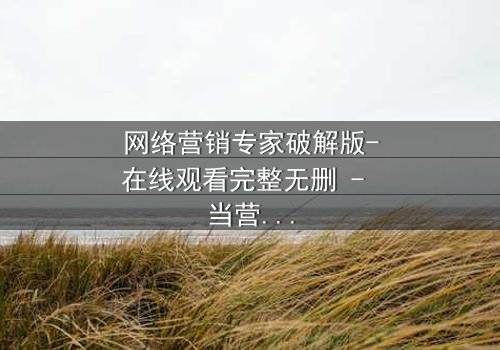 网络营销专家破解版-在线观看完整无删 - 当营销天才的完美计划遭遇致命背叛