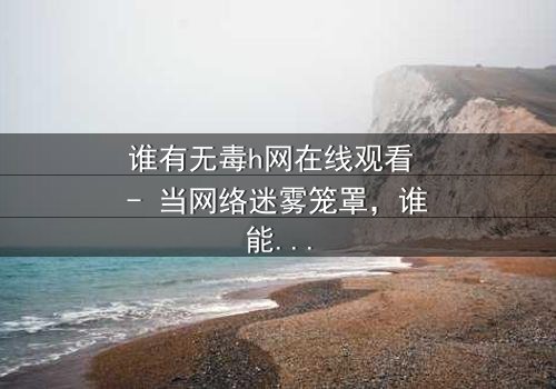 谁有无毒h网在线观看 - 当网络迷雾笼罩,谁能揭开真相的面纱?