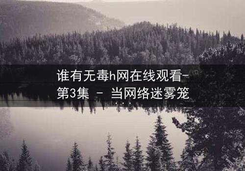谁有无毒h网在线观看-第3集 - 当网络迷雾笼罩正义之路