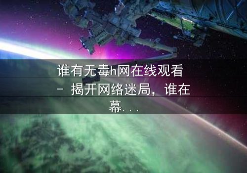 谁有无毒h网在线观看 - 揭开网络迷局,谁在幕后操控一切?
