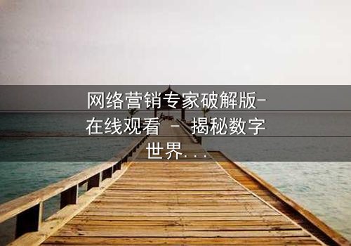 网络营销专家破解版-在线观看 - 揭秘数字世界的黑暗交易