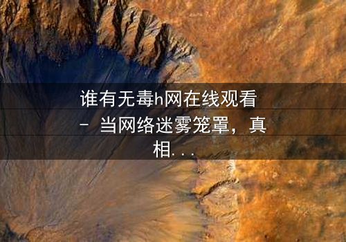 谁有无毒h网在线观看 - 当网络迷雾笼罩,真相能否浮出水面?