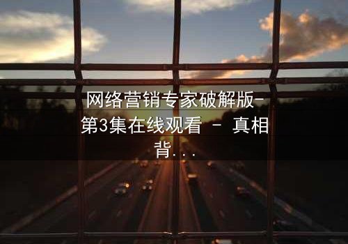 网络营销专家破解版-第3集在线观看 - 真相背后,谁在操控你的财富?