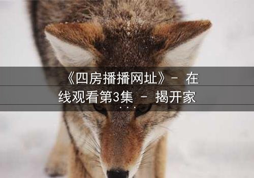 《四房播播网址》- 在线观看第3集 - 揭开家族背后的惊天秘密