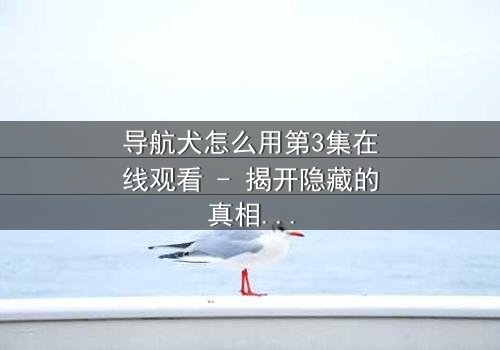 导航犬怎么用第3集在线观看 - 揭开隐藏的真相,你敢面对吗?