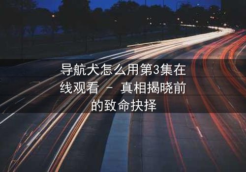 导航犬怎么用第3集在线观看 - 真相揭晓前的致命抉择