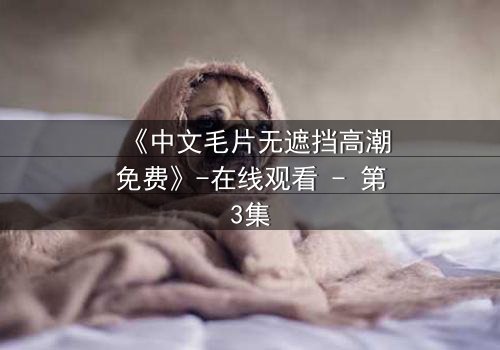 《中文毛片无遮挡高潮免费》-在线观看 - 第3集