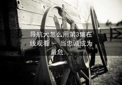 导航犬怎么用第3集在线观看 - 当忠诚成为最危险的陷阱