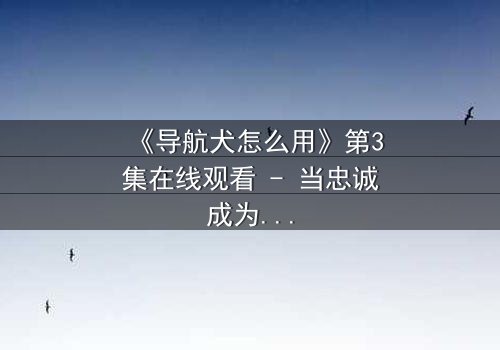 《导航犬怎么用》第3集在线观看 - 当忠诚成为背叛的导火索