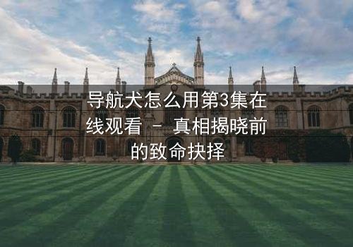 导航犬怎么用第3集在线观看 - 真相揭晓前的致命抉择