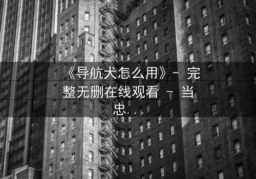 《导航犬怎么用》- 完整无删在线观看 - 当忠诚的导航犬成为致命陷阱