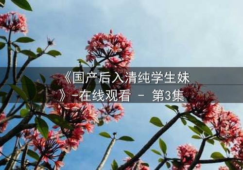 《国产后入清纯学生妹》-在线观看 - 第3集