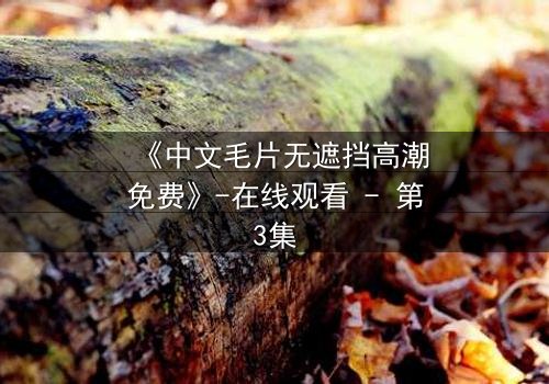 《中文毛片无遮挡高潮免费》-在线观看 - 第3集