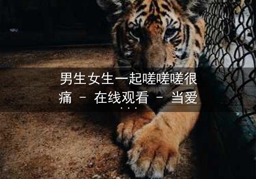 男生女生一起嗟嗟嗟很痛 - 在线观看 - 当爱情与痛苦交织,你敢直面真相吗?