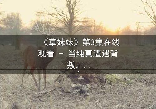 《草妹妹》第3集在线观看 - 当纯真遭遇背叛,她如何浴火重生?