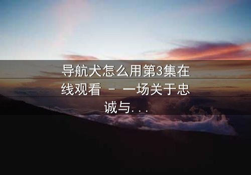 导航犬怎么用第3集在线观看 - 一场关于忠诚与背叛的生死抉择