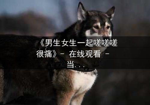 《男生女生一起嗟嗟嗟很痛》- 在线观看 - 当疼痛成为爱情的试炼