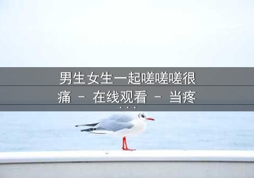 男生女生一起嗟嗟嗟很痛 - 在线观看 - 当疼痛成为爱情的试炼