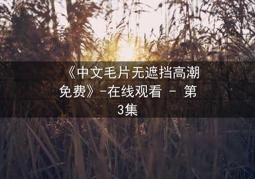 《中文毛片无遮挡高潮免费》-在线观看 - 第3集