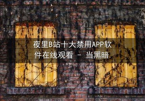 夜里B站十大禁用APP软件在线观看 - 当黑暗应用解锁禁忌之门,你敢点击吗?