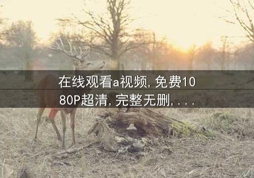 《在线观看a视频》- 免费1080P超清 - 完整无删第3集