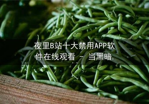夜里B站十大禁用APP软件在线观看 - 当黑暗中的APP解锁禁忌之门