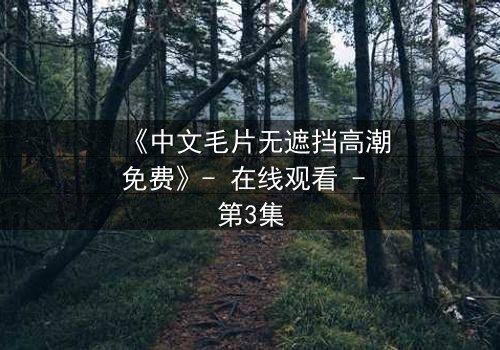 《中文毛片无遮挡高潮免费》- 在线观看 - 第3集