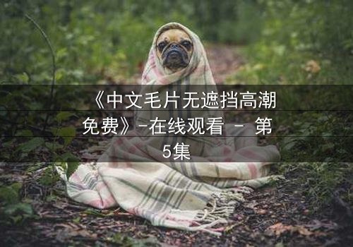 《中文毛片无遮挡高潮免费》-在线观看 - 第5集