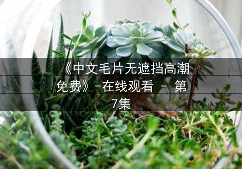 《中文毛片无遮挡高潮免费》-在线观看 - 第7集